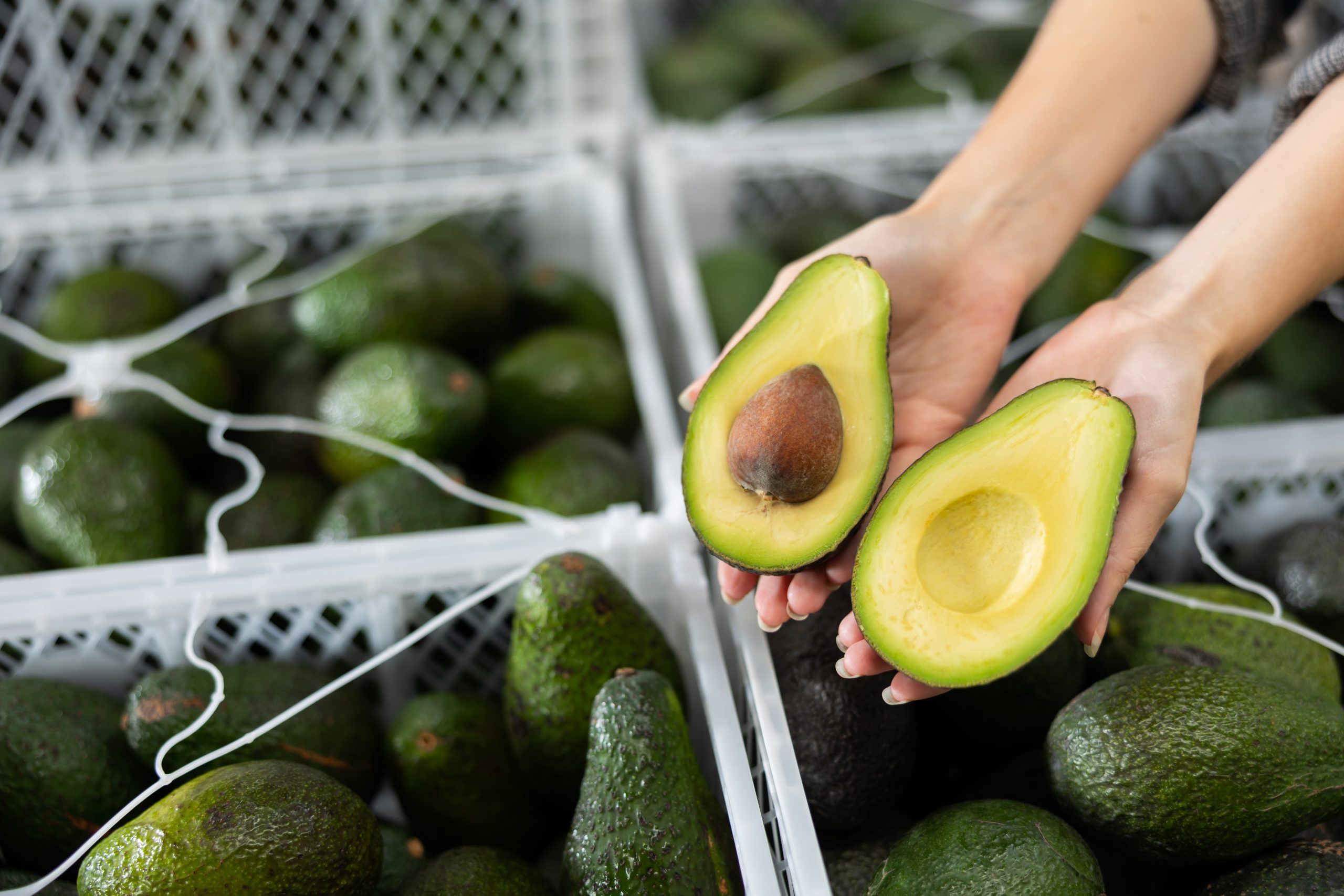 Chile y Brasil avanzan en acuerdos para la exportación de melones y la importación de paltas - Araya & Cia