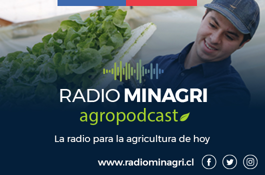 Chile Rural – Episodio 256: Chile e Indonesia firman acuerdo para fortalecer la cooperación en materias fitosanitarias y de certificación electrónica - Radio Minagri
